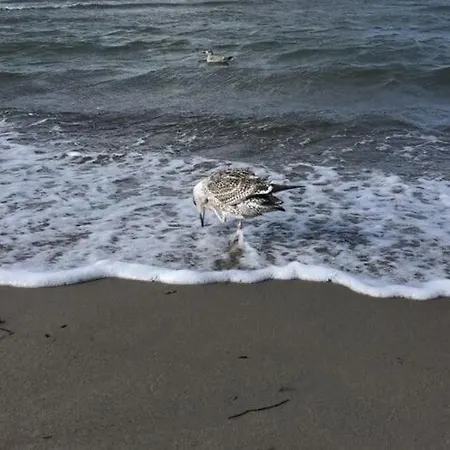 Apartament Helle Im Ostseebad